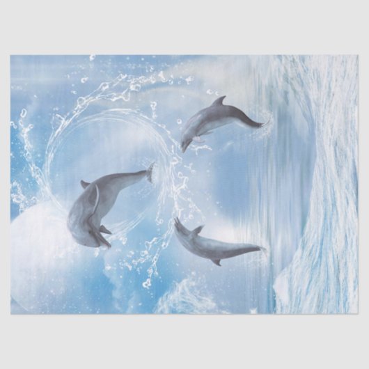 Papier Mousseline Les Rêves Des Dauphins (Recto)