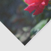 Papier Mousseline Les roses sont fleur d'état de NY (Détail)