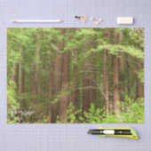 Papier Mousseline Les séquoias au monument national de Muir Woods (Artisanat)