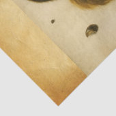 Papier Mousseline L'ESCALIER AVEC LES NUTS Albrecht Durer Parchemin (Détail)