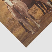 Papier Mousseline L'esprit de la Patagonie sauvage (Détail)