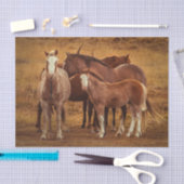 Papier Mousseline L'esprit de la Patagonie sauvage (Artisanat)