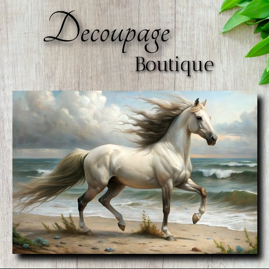 Papier Mousseline L'étalon blanc au bord de la mer