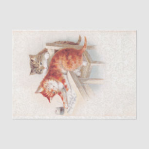 Papier Mousseline LETTRE CHAT vintage FRANÇAIS ORANGE