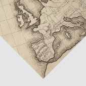 Papier Mousseline L'Europe 45 (Détail)