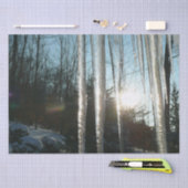 Papier Mousseline Lever du soleil à travers Icicles hiver Photograph (Artisanat)