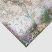 Papier Mousseline Lewis et Clark (Détail)