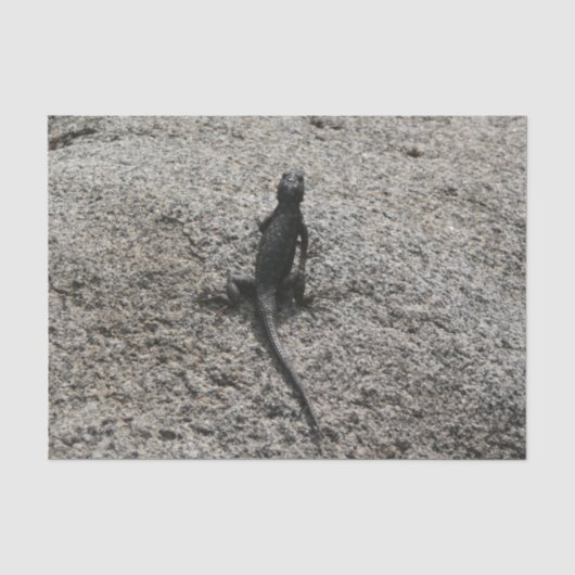 Papier Mousseline Lézard noir (Recto)