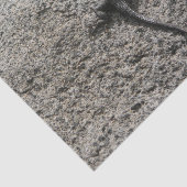 Papier Mousseline Lézard noir (Détail)