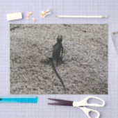 Papier Mousseline Lézard noir (Artisanat)