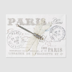 Papier Mousseline Libellule Vintage Paris Écriture Française Découpa