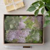 Papier Mousseline Lilac Bush Belles fleurs de printemps violettes (Cadeau)