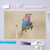 Papier Mousseline Lilac Roller à poitrine (Artisanat)