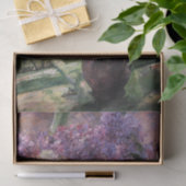 Papier Mousseline Lilacs dans un papier tissu de fenêtre (Cadeau)