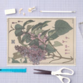Papier Mousseline Lilacs, Eugene Grasset Botany Series (Artisanat)