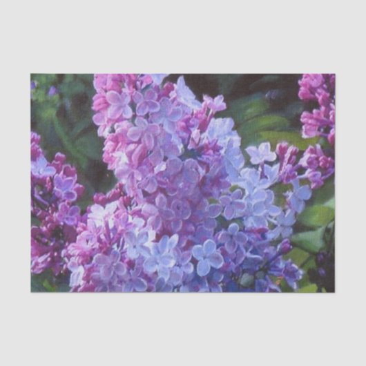 Papier Mousseline Lilas de Lavendar (Recto)