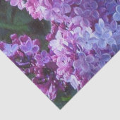 Papier Mousseline Lilas de Lavendar (Détail)