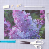 Papier Mousseline Lilas de Lavendar (Artisanat)