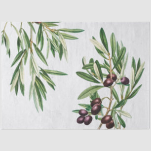 Papier Mousseline L'île méditerranéenne grecque Feuille d'olive
