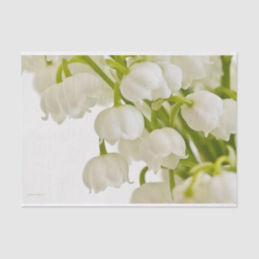 Papier Mousseline Liliers blancs (Recto)