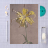 Papier Mousseline Lily by Ogawa Kazumasa  (Artisanat)