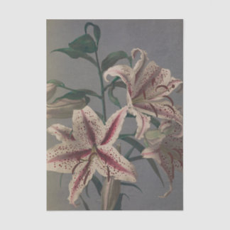 Papier Mousseline Lily by Ogawa Kazumasa