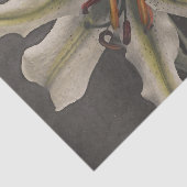 Papier Mousseline Lily by Ogawa Kazumasa (Détail)