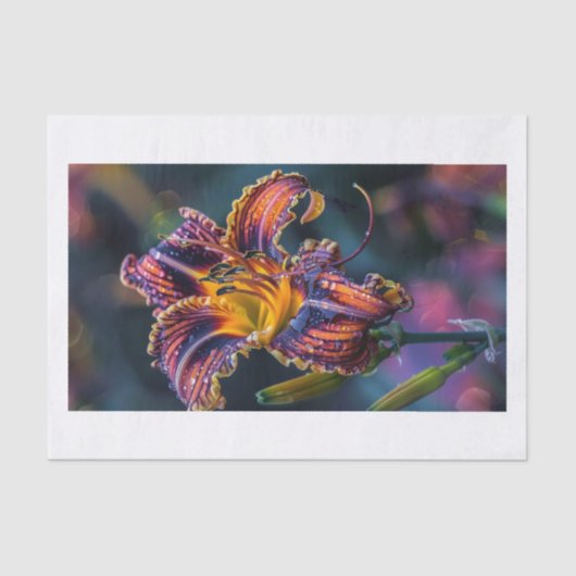 Papier Mousseline Lily Flower4 (Recto)