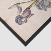 Papier Mousseline Lily par Jacques de Morgues (Détail)