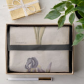 Papier Mousseline Lily par Jacques de Morgues (Cadeau)