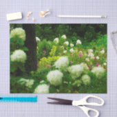 Papier Mousseline Limelight Hydrangeas dans My Rubio Garden (Artisanat)