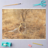 Papier Mousseline Lion (Artisanat)