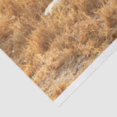 Papier Mousseline Lion (Détail)