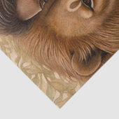 Papier Mousseline Lion africain (Détail)