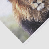 Papier Mousseline Lion africain masculin (Détail)