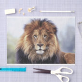 Papier Mousseline Lion africain masculin (Artisanat)