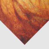 Papier Mousseline Lion au repos (par Abbott Handerson Thayer) (Détail)