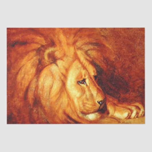 Papier Mousseline Lion au repos (par Abbott Handerson Thayer) (Recto)