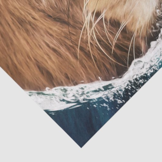 Papier Mousseline Lion derrière l'océan (Détail)