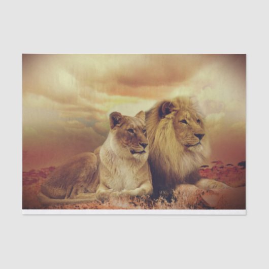 Papier Mousseline Lion Et Lioness Africains Majestic (Recto)