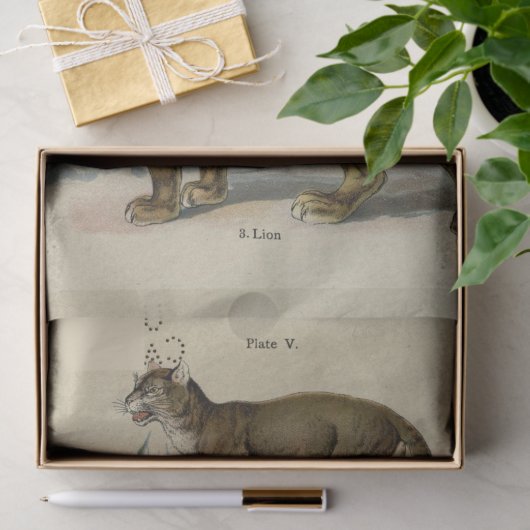 Papier Mousseline Lion Tiger Puma Ephemera Découpage (Cadeau)