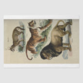 Papier Mousseline Lion Tiger Puma Ephemera Découpage (Recto)