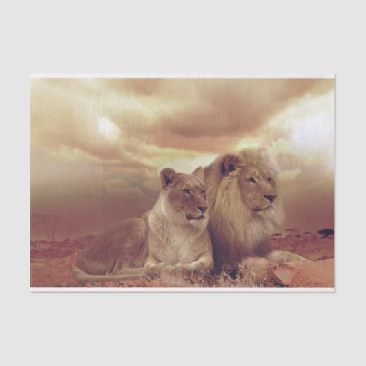 Papier Mousseline Lions (Recto)