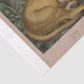 Papier Mousseline Lions et tigres Ephémères Découpage (Détail)