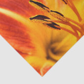 Papier Mousseline Lis tigré orange (Détail)