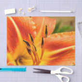 Papier Mousseline Lis tigré orange (Artisanat)