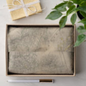 Papier Mousseline L'Italie 2 (Cadeau)