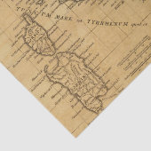 Papier Mousseline L'Italie antique (Détail)