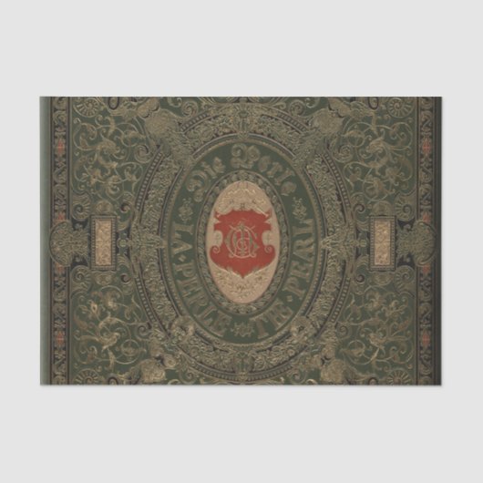 Papier Mousseline Livre grunge attaché de cuir (Recto)