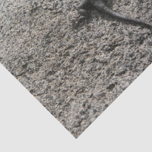 Papier Mousseline Lizard noir (Détail)